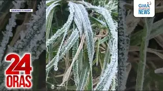 Ilang pananim sa Benguet, nabalot ng andap; temperatura sa Baguio, bumaba sa 10.6&deg;C | 24 Oras