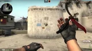 Csgo CZ75 Victoria