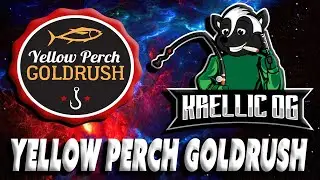 Yellow Perch Goldrush Comp Guide! Bring the Umbrella!! :) - Fishing Planet / Fisherman