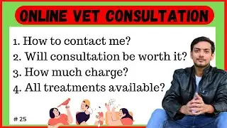 Online Veterinary Consultation: Step-by-Step Guide to Contacting Us.🐶🧑&zwj;⚕️