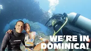 SCUBA DIVING IN DOMINICA!