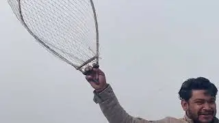 06/01/2026 ka 🕊️hamara shok #viralshort #pigeon #kabootarloft05 #newshorts #trendingshorts #kabutar 