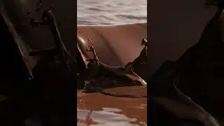 🍫 Melted Chocolate Wave #waves #asmr #asmrvideo