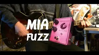 Mia Fuzz - Pedal Demo