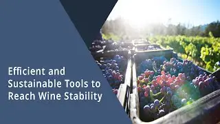 Efficient and Sustainable Tools to Reach Wine Stability
