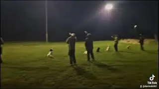 gundog training at night with kirkbourne