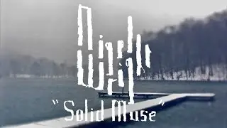 Nigel Wright - Solid Muse