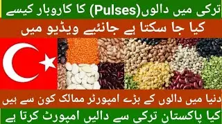 How to Trade and wholesale pulses in Turkey, Import export of Pulses in Turkey +994702669169