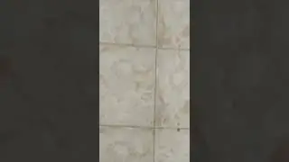 worst transmission ever