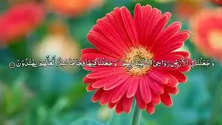Al Quran Para 17/30 | Maher Al Muaiqly | With Urdu Translation | Verse by Verse