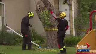 Tree Ninja  - Global News - Windstorm Response Team in Bruderheim