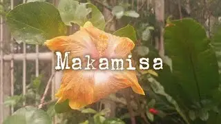 MAKAMISA - Filipino Film Festival 2025 (Brainworks School Inc.)
