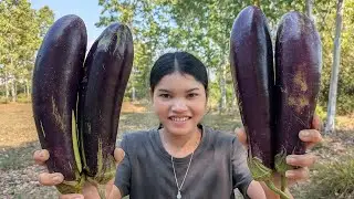 Eggplant with Soy Sauce Side Dish | Easy & Delicious Eggplant Recipe