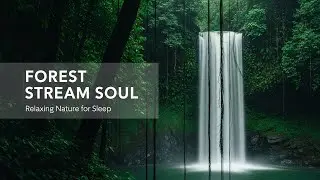 Healing Forest Ambience with Tranquil River Flow for Study Meditation Inner Peace and Stress Relief
