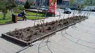 Tălmaciu