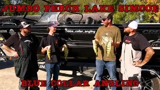 Jumbo Perch Fishing with Galo of Blue Collar Angling and Andy of Xtreme Sport Fishing Charters
