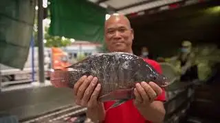STU1033 Safe and Sustainable Seafood Choices (Group:Apa itu ikan)