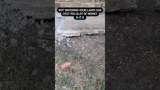 Not watering you lawn can cause foundation issues with your property #dallasrealestate