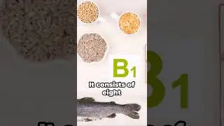 Vitamin B Your Energy Booster