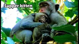 No....no mom stop hurt me | nasty Janet got pain by mom give hard lesson | Jane bite to reject milk