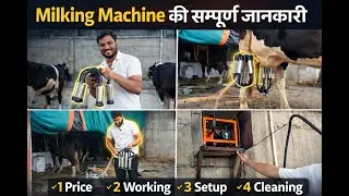 Milking Machine कैसे काम करती है? | Price, Benefits & Full Guide Hindi