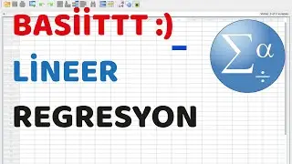 #43 Basit lineer regresyon