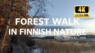 4K Virtual Hike through Finnish Forest (Beautiful Music)