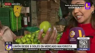 LIM&Oacute;N COLOMBIANO: &iquest;cu&aacute;les son sus caracter&iacute;sticas?