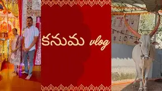 మా కనుమ పండుగ🙏vlog | #pongal #festival 