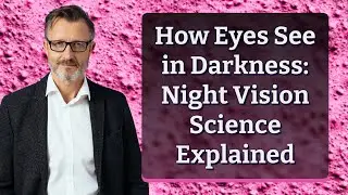 How Eyes See in Darkness: Night Vision Science Explained