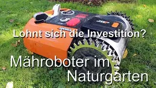 Mähroboter im Naturgarten - Lohnt sich die Investition?