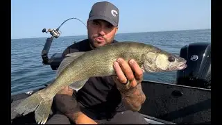 Lake Erie Walleye  ( Early Morning Trolling )