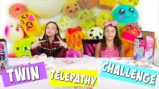 TWiN TELEPATHY SQUiSHY CHALLENGE WiTH SQUiSHiES!