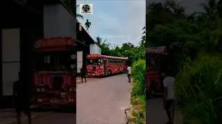 SLTB Point Pedro King Beautiful Ashok Leyland Bus #ashokleyland #srilanka #bus