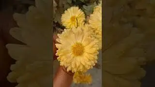 karm karte raho#youtubserch#shortfeed#trending#viral#shorts#subscribe#motivation