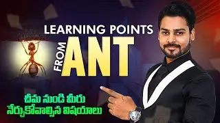 చీమలనుండి  అసలు  మనం ఎం నేర్చుకోవచ్చు | Learning Points From ANT | Venu Kalyan| venukalyan speech
