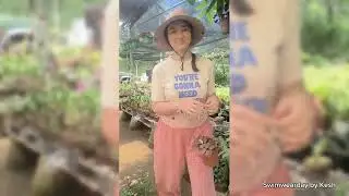 Plant Shopping in Silang, Cavite | Plantita Paradise + Garden Finds Tour!