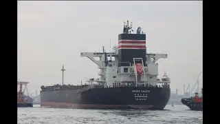 [貨輪進港] 四國稀客 AMABIE SALUTE🚢超巴拿馬型散裝船 | 穿裙裙拍船船