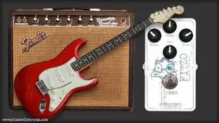 Himmelstrutz FITZO (2) - Stratocaster / '67 Princeton Reverb