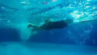 Swim Analysis