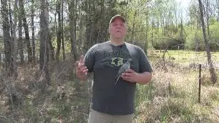 Clip On Dove Decoy From Lucky Duck