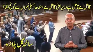 Saniyah Gul Plaza, Sindh Assembly Main MQM Ka Hungama !