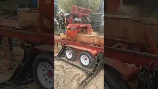 Cooks HD3238