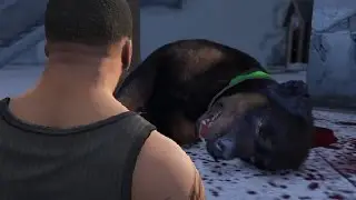 GTA V Franklin Kills Chop