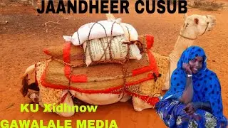 CIYAAR DHAQAMEED CODKII WARSAME JAAMAC YUUSUUF
