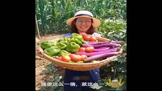 Độc Lạ Tr&aacute;i C&acirc;y Trung Quốc || Unique Chinese Fruits