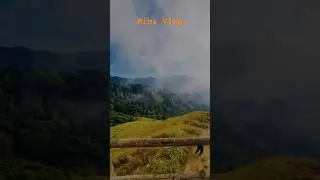 Beauty of Assam // Dima Hasao // sangat Saharia
