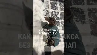 Наш любимый воск от бренда Spets можно купить на вб, артикул 269936867