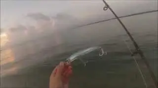 YO-ZURI MAGNUM 3D CRYSTAL MINNOW