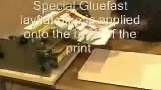 Gluing Machine Herold with Rotary Pressing Machine Regent  wet glue mounting